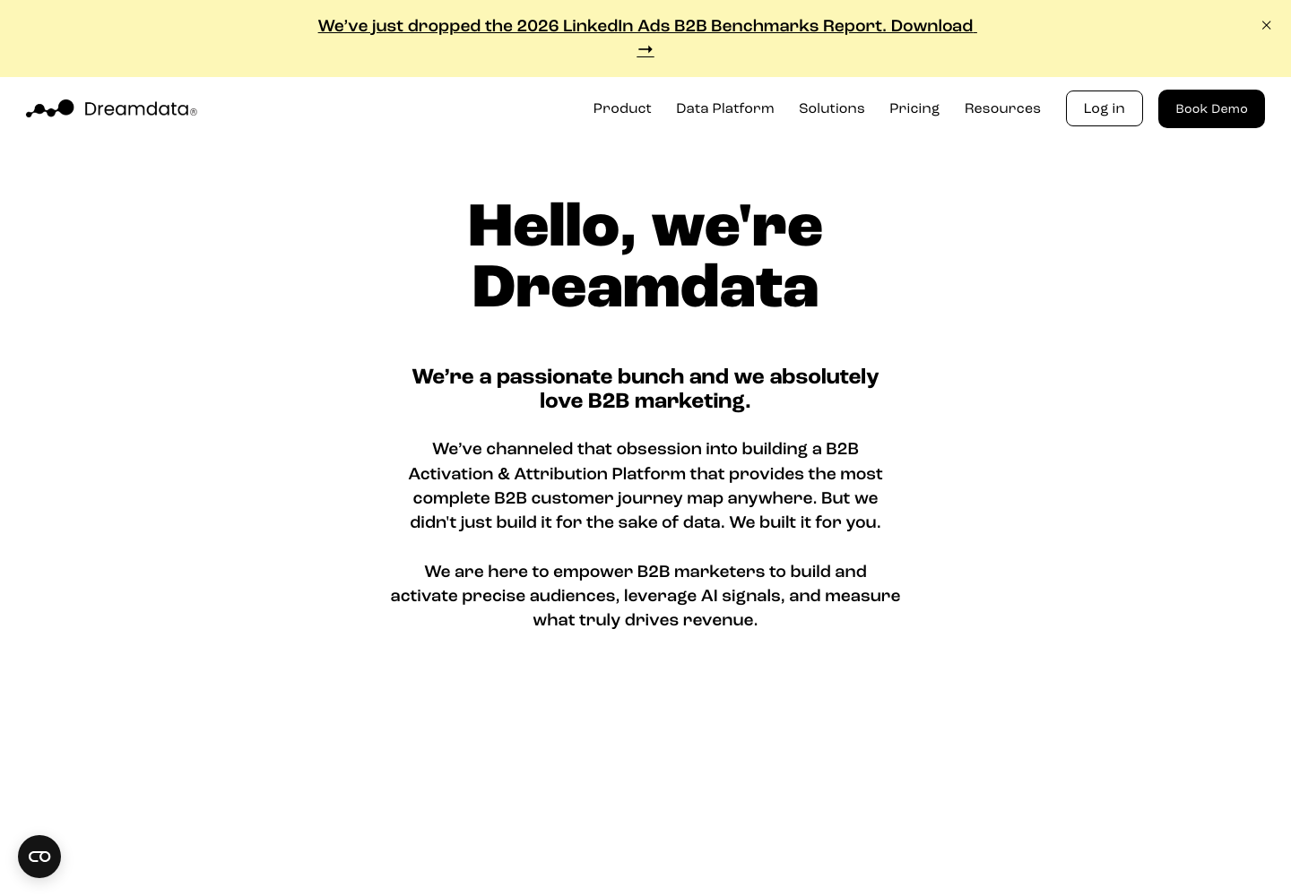 Dreamdata founder profile presentation
