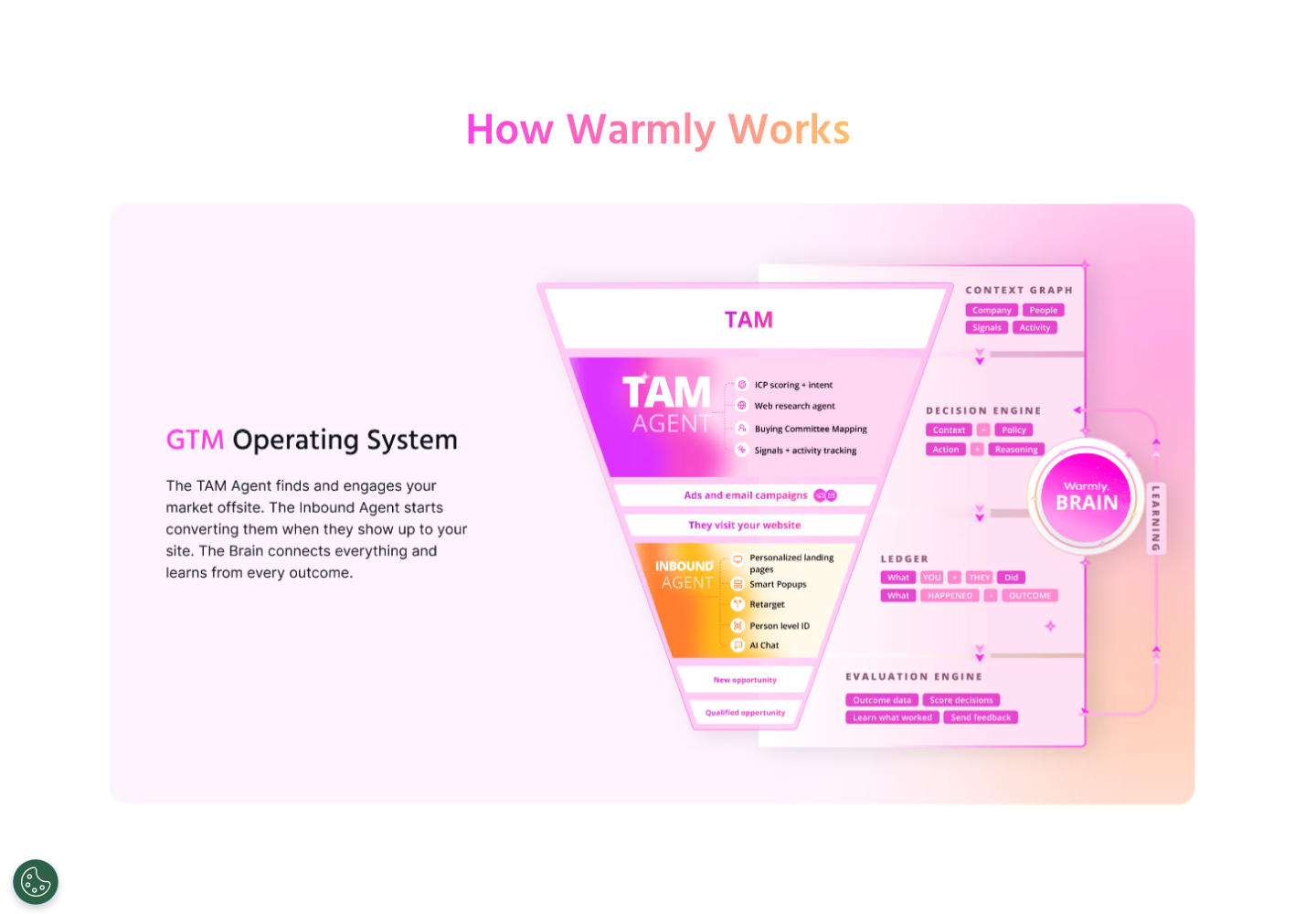 Warmly official company page
