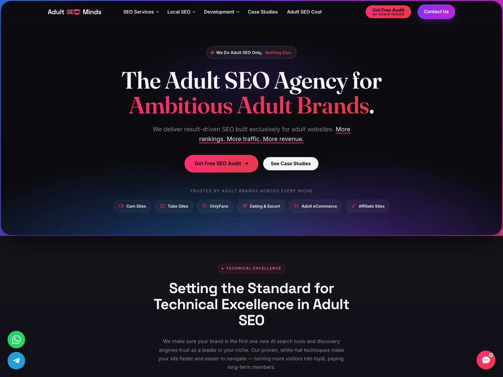 AdultSEO.company official website, captured 20 July 2026