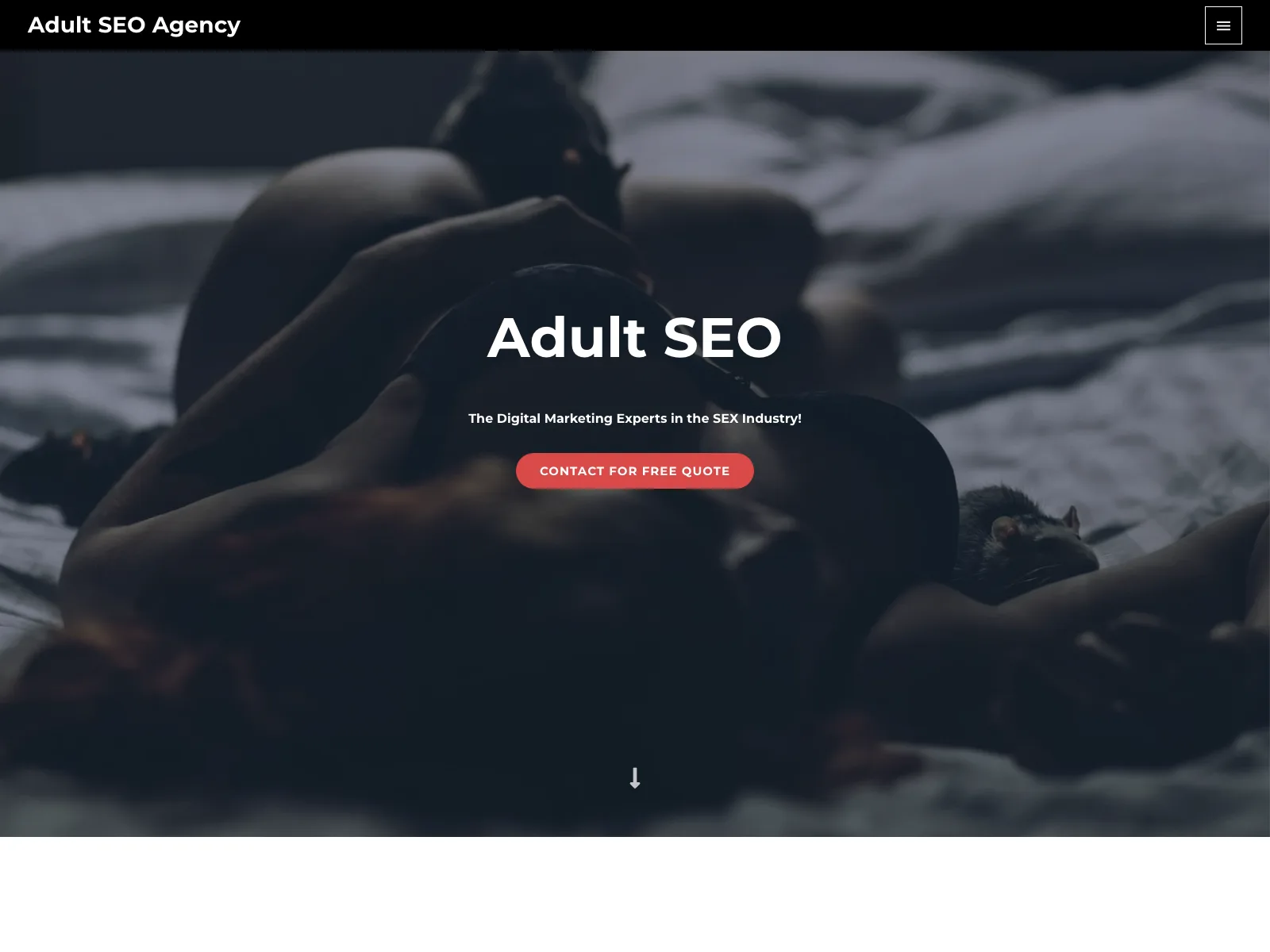 Adult SEO Agency homepage, captured 20 July 2026