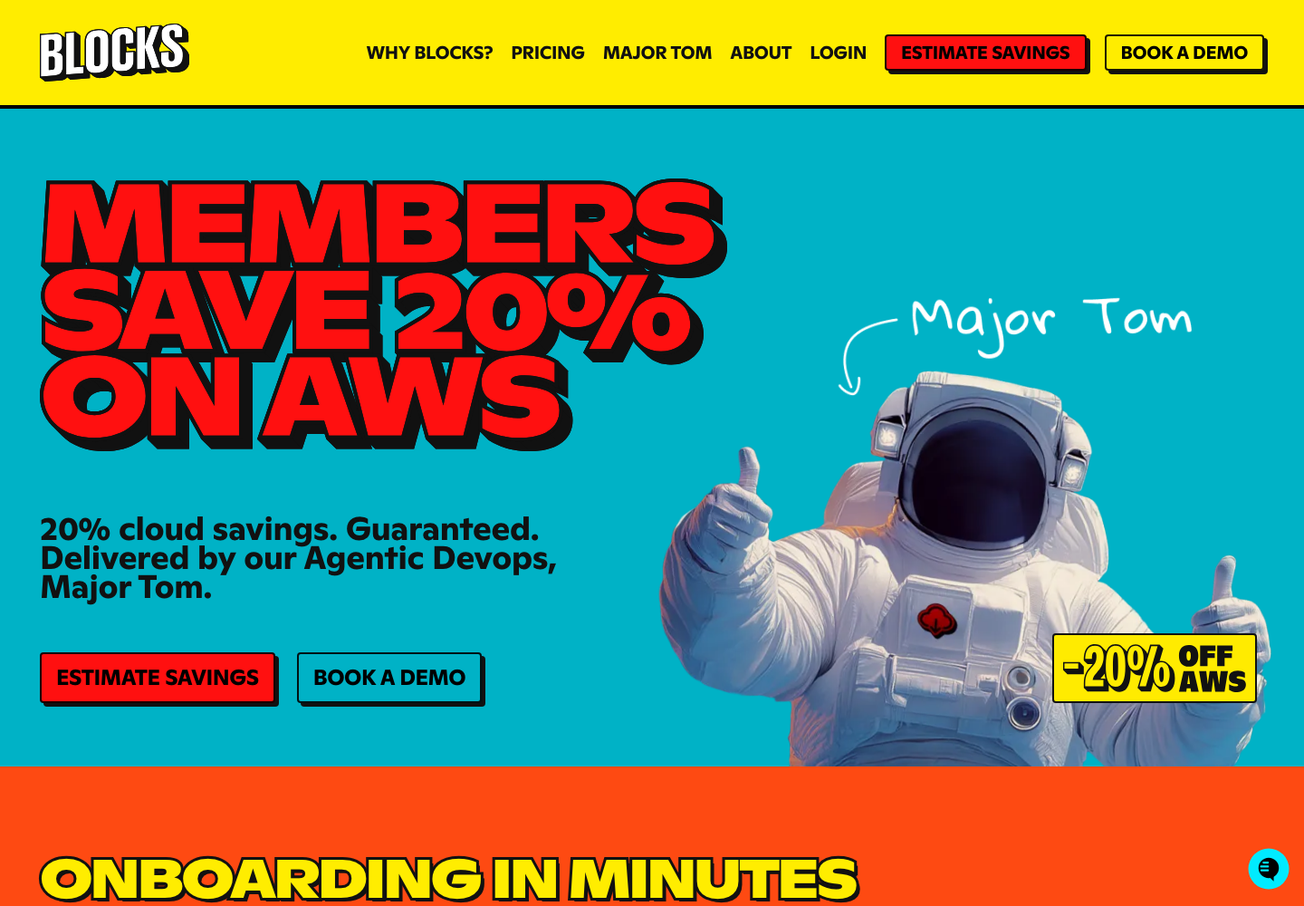 Blocks official homepage presenting its AWS cost optimisation and agentic DevOps service